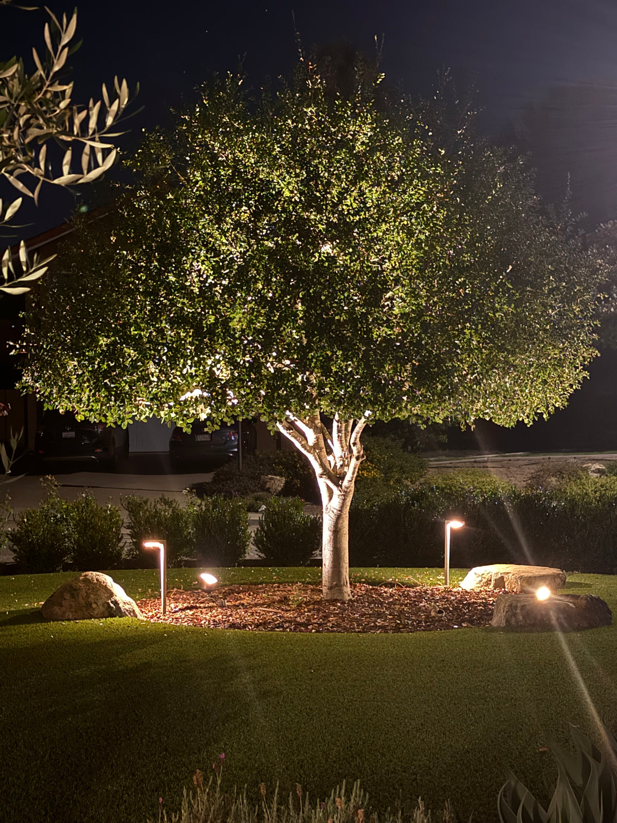 HD Brass Flood Light (NL)