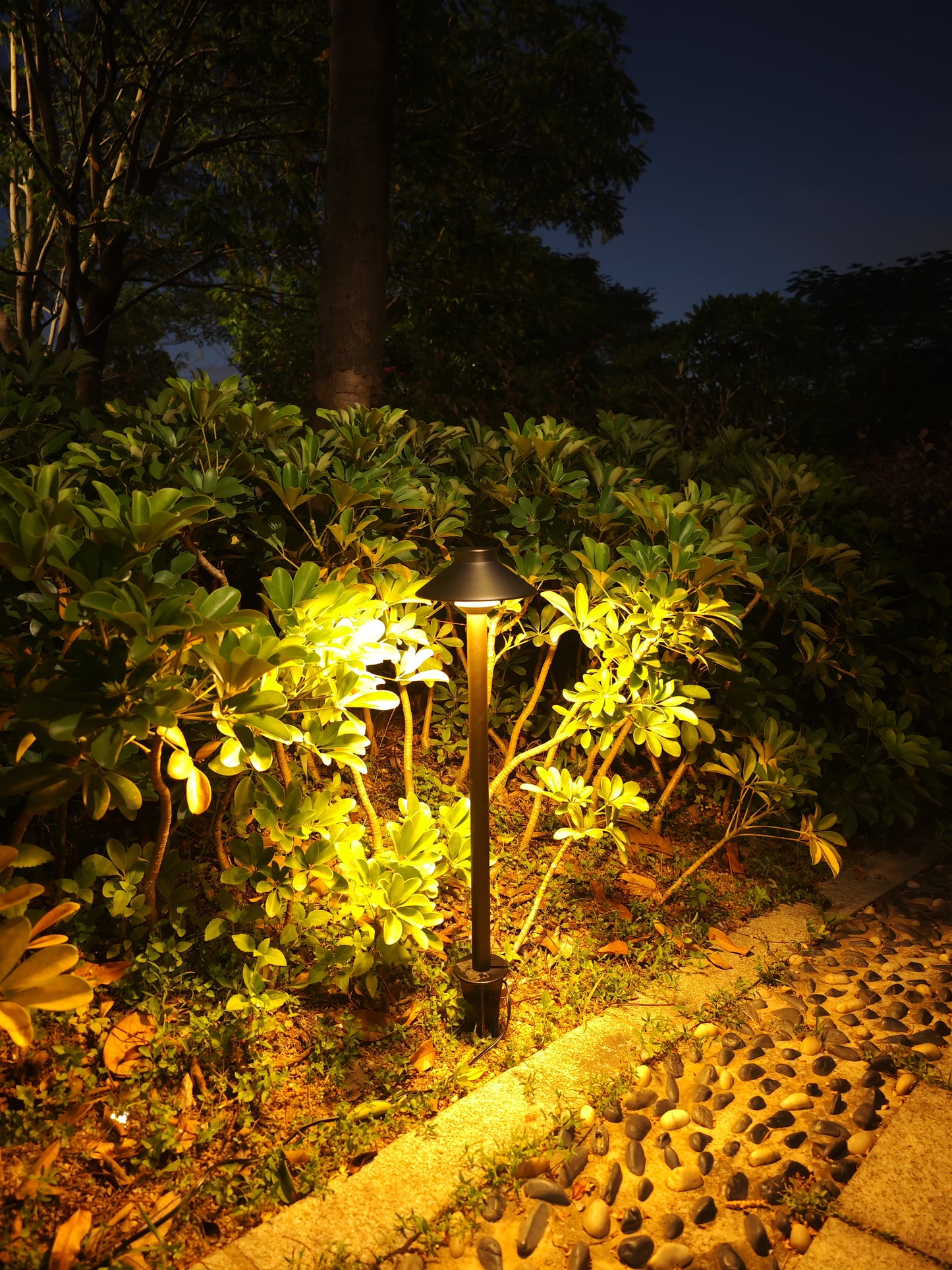 Brass Pathway Light