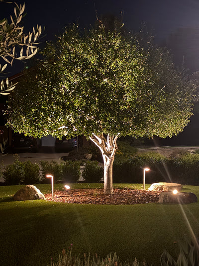 HD Brass Flood Light (NL)