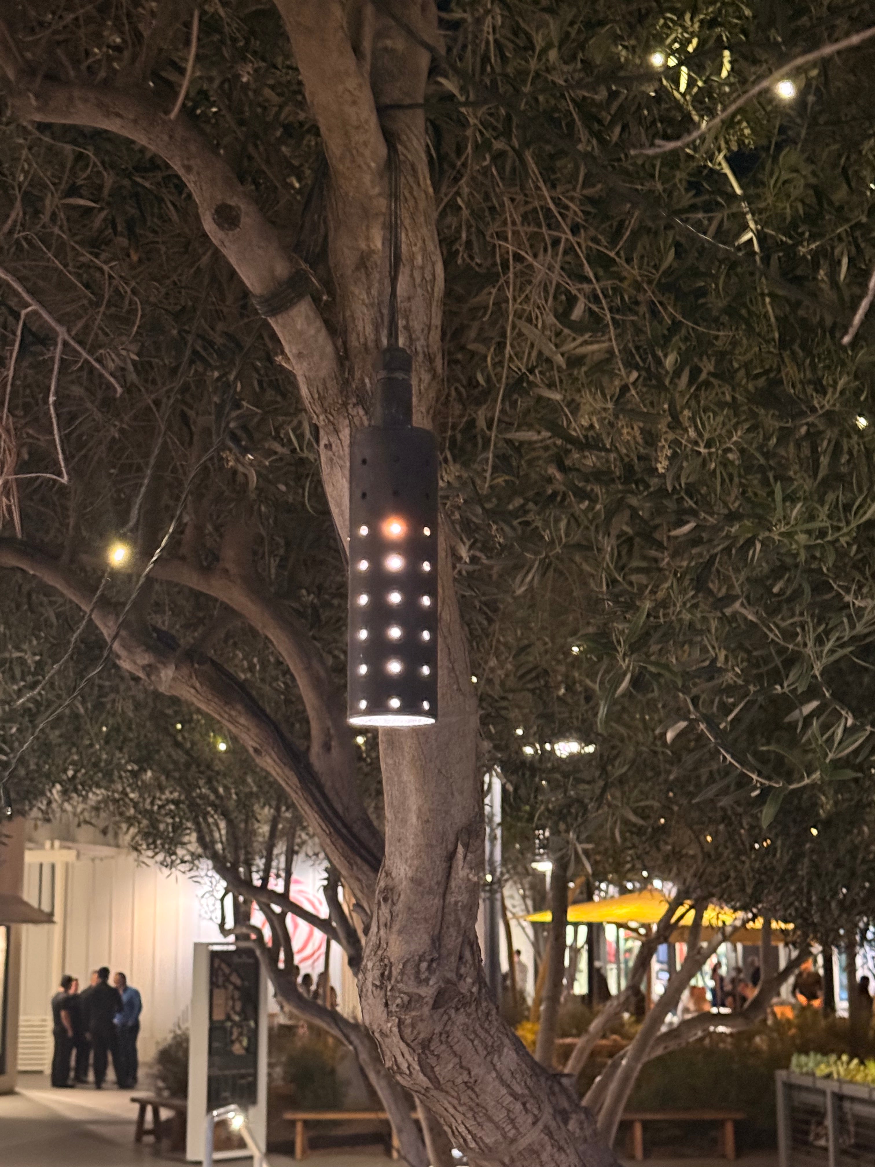 Brass Hanging Light